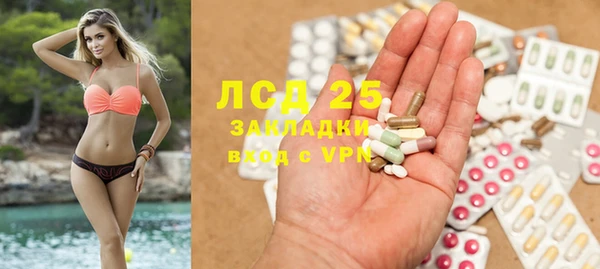 сатива Приозерск