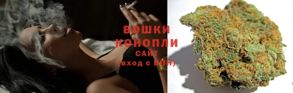 сатива Приозерск
