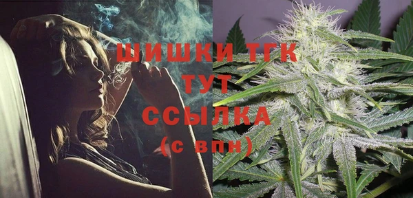 сатива Приозерск