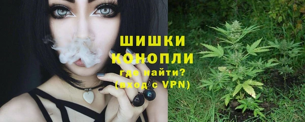 сатива Приозерск